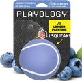 Playology Dog Toys | Squeaky Chew Ball for Large Dogs | Blueberry Scented Jumbo Dog Ball | Bouncy Floating Chew Toys for Fetch