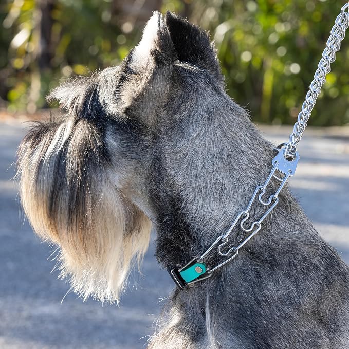 Herm Sprenger Chrome Plated Steel Dog Collar with Quick Release ClicLock Buckle and Biothane Insert Training Collar for Dogs Made in Germany (Sky Blue, 22in x 3.0mm(Neck Size up to 18-19in))
