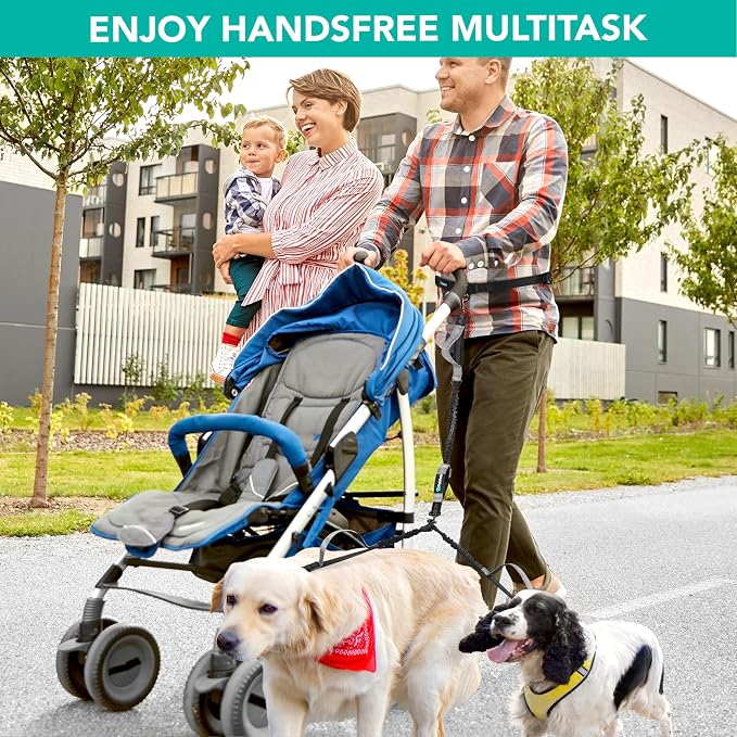 PetAmi Hands Free Double Dog Leash with Padded Lumbar Waist Belt, 360 No-Tangle Swivel Coupler, Bungee Shock Absorbing Dual Leash for Two Dogs Medium Large, Reflective, Black