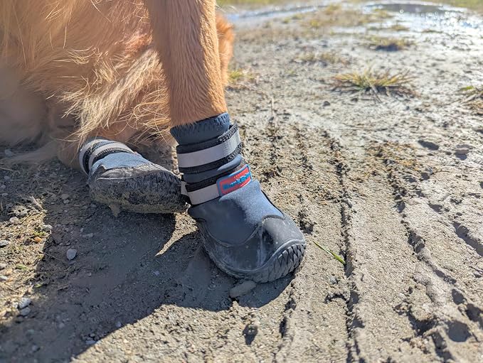 Bark Brite NEW All Terrain All Weather Neoprene Dog Shoe (Stone Blue, Extra Small)