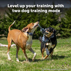 PetSafe Core Trainer Add-A-Dog Collar, 1000 Ft Range, 15 Static Levels | Adds 2nd Dog to Core Dog Remote Trainer, Built-in LED Light, Waterproof, Rechargeable, Fits 10-22in Necks, Collar Only