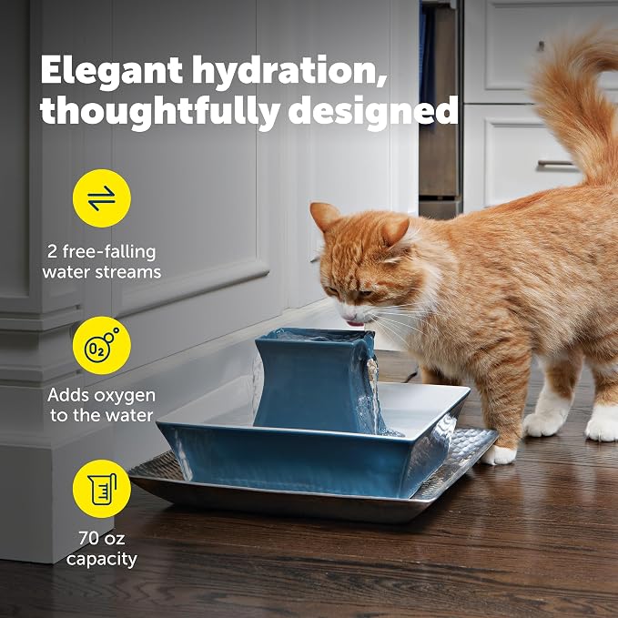 PetSafe Drinkwell Pagoda Ceramic Fountain, 70 oz, 4-Pack Carbon Filters | 2 Falling Water Streams Encourage Hydration, Cat & Small Dog Water Fountain, 4-Pack Carbon Filters