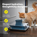 PetSafe Drinkwell Pagoda Ceramic Fountain, 70 oz, 4-Pack Carbon Filters | 2 Falling Water Streams Encourage Hydration, Cat & Small Dog Water Fountain, 4-Pack Carbon Filters