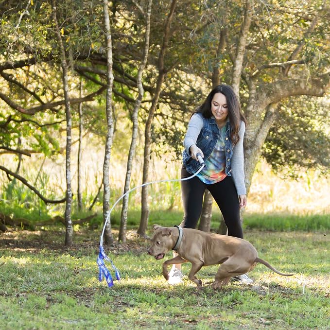 Squishy Face Studio Flirt Pole V2 with Lure - Durable Dog Toy for Fun Obedience Training & Exercise Jr. - 24 inch
