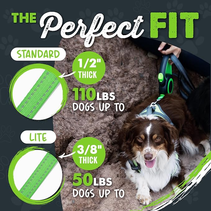 Mighty Paw Retractable Dog Leash 2.0, 16 Ft, for Medium Dogs, Heavy Duty | Reflective Nylon Tape, Tangle-Free Swivel Clip, One-Touch Quick-Lock Brake, Reflective Ring, Anti-Slip Handle