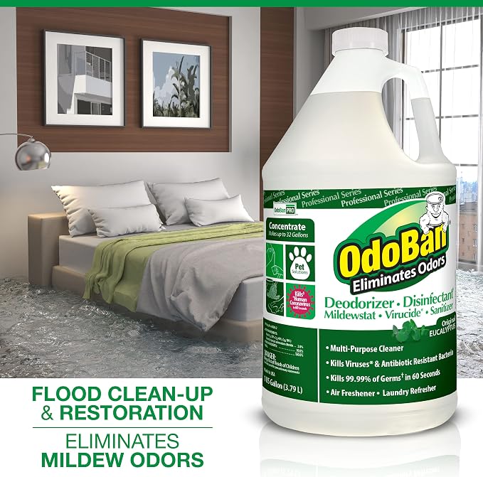 OdoBan Professional Disinfectant and Odor Eliminator Concentrate, 4 Gallons, Original Eucalyptus Scent