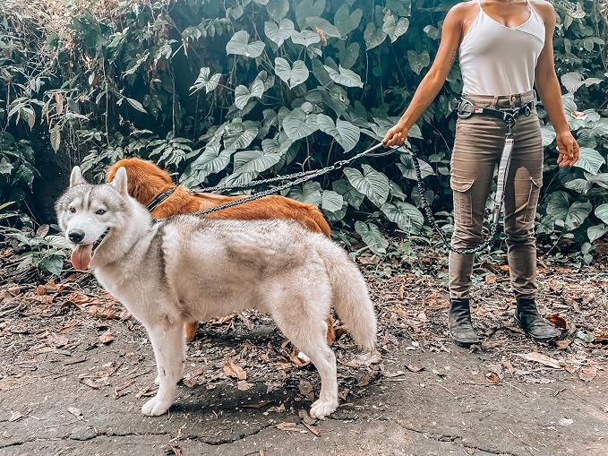 Tuff Pupper Heavy Duty Hands Free Bungee Dog Leash | Two Large Dogs Up to 250 lbs | Comfortable Shock Absorbing Bungee | Reflective Dual Padded Handles | Lumbar Waist Belt 28-50" | 360° Swivel Clips