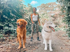 Tuff Pupper Heavy Duty Hands Free Bungee Dog Leash | Two Large Dogs Up to 250 lbs | Comfortable Shock Absorbing Bungee | Reflective Dual Padded Handles | Lumbar Waist Belt 28-50" | 360° Swivel Clips