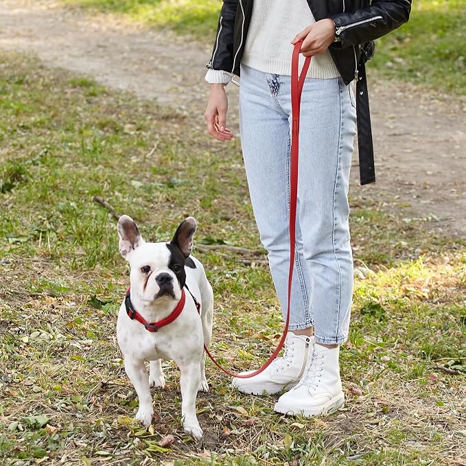 Dogline Biothane Waterproof Dog Leash Strong Coated Nylon Webbing with Black Hardware Odor-Proof Easy to Clean High Performance for Small or Large Dogs Made in USA 4 or 6 ft Lead, Cherry Red