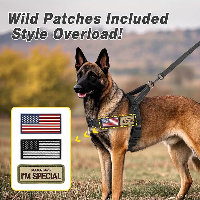Forestpaw No Pull Dog Harness with Large Handle,Comfortable,XL,Black | Adjustable Fits Chest 32-39",80-110 lbs,Slip On,Quick Release Buckle,Easy Control,Soft Padded,for Large Dogs Walking Training