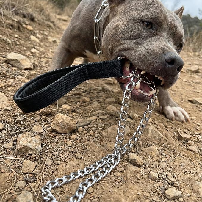 Heavy Duty Dog Chain Leash, 6 ft x 3.0 mm (25-120 lbs) | Padded Handle for Large & Medium Size Dogs