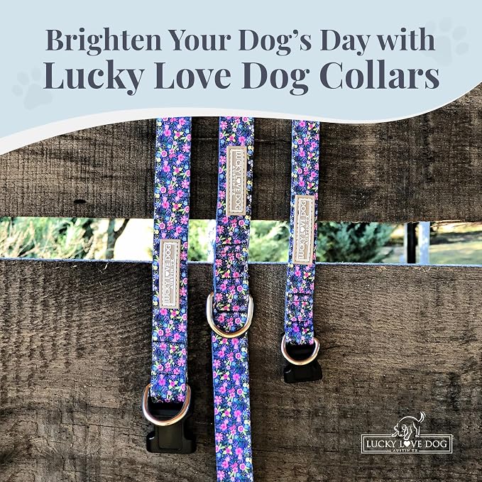 Lucky Love Dog, Comfortable, Soft, Cute Female Dog Collar for Small Dogs, Black & Purple Floral Print, Adjustable Nylon Collar, Primrose, Small