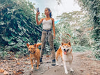 Tuff Pupper Heavy Duty Hands Free Dog Leash | Two Small/Medium Dogs Up to 90 lbs | Comfortable Shock Absorbing Bungee | Reflective Padded Handles | Lumbar Waist Belt 28-50" | Jogging Running Leash