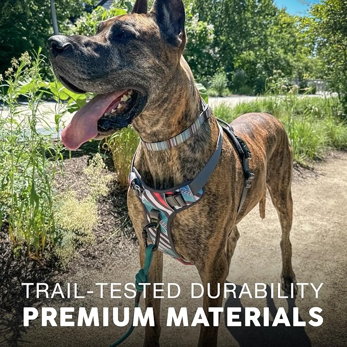 Embark Adventure Medium Dog Harness – No-Pull, Reflective Trim, Military-Grade Nylon, Front Clip with Gel-Lined Handle