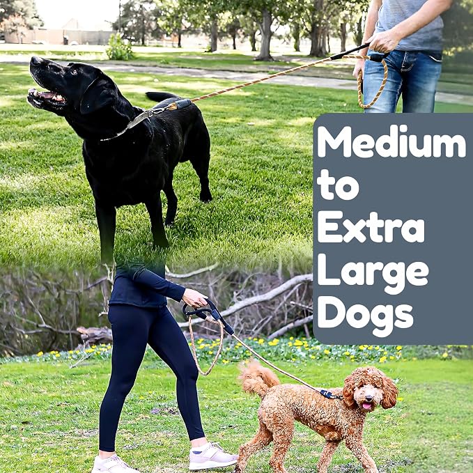 6 Foot Dog Leash, Two Extra Padded Handles, Locking Carabiner Clip, Reflective for Night Visibility, Weatherproof, Heavy Duty Rope Leash, Roam Gear (Brown)