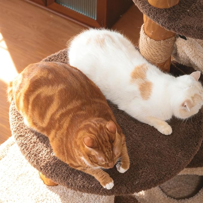 Modern Cat Tree for Indoor Large Cats & Multi-Cat Households, 68'' Solid Wood Cat Tower with 3 Condos, Heavy Duty Cat Tower with Scratching Post, Multi-Level Cat House, Perch, Hammock, Hideaway, Brown