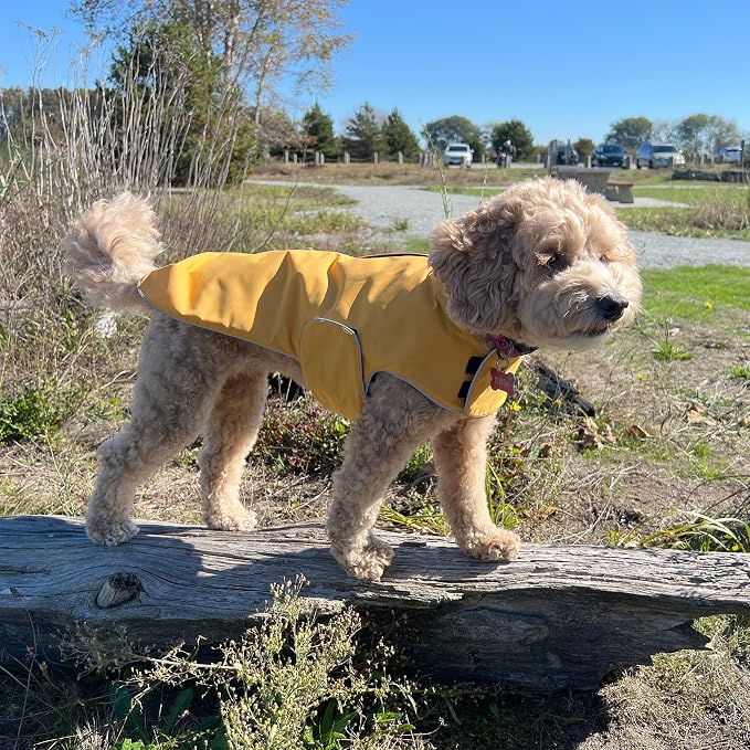 JAN & JUL Dog Rain Jacket (Yellow, Size: S)
