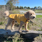 JAN & JUL Dog Rain Jacket (Yellow, Size: S)