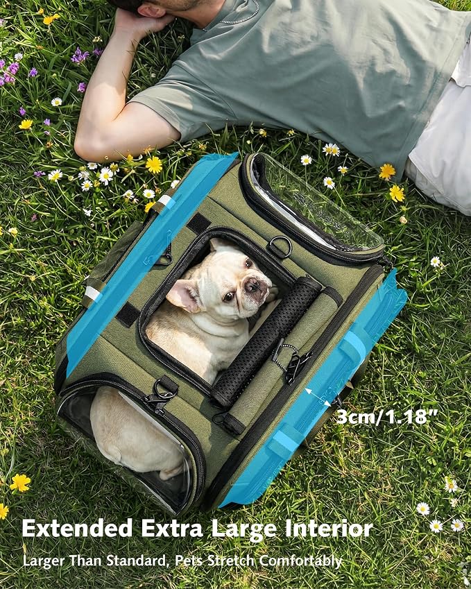 Pecute Cat Carrier with Bubble Window & Sunshade for Dogs Cats, Green XL | Dual bubble windows & top sunshade, 70% more airflow mesh, Impact-resistant stable frame, Locking zippers, Fits up to 20 lbs