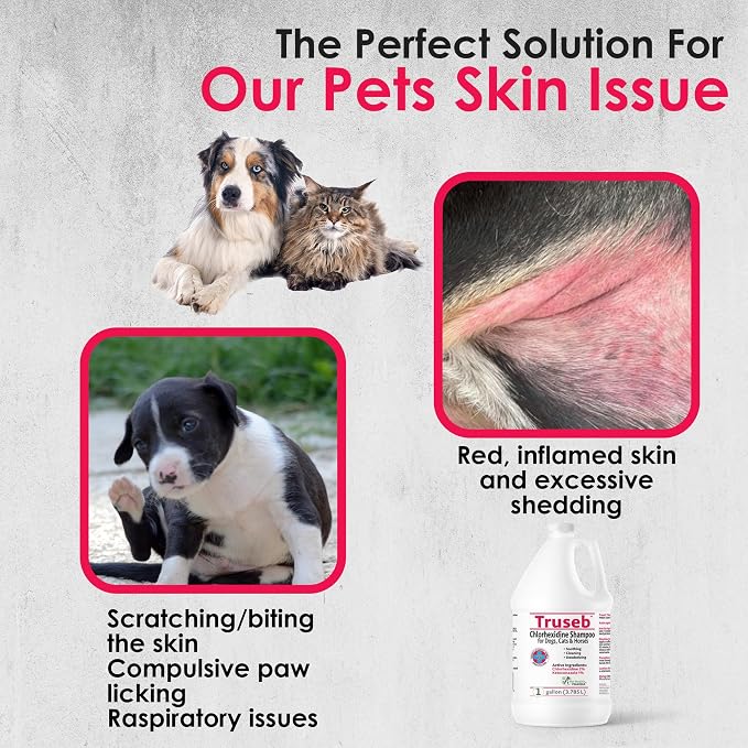 Truseb Chlorhexidine Shampoo for Dogs Cats & Horses with Aloe Vera - Antibacterial Antifungal Medicated Dog ketoconazole Shampoo and Conditioner -Skin Irritation, Hot Spots, Redness Relief (1 Gallon)