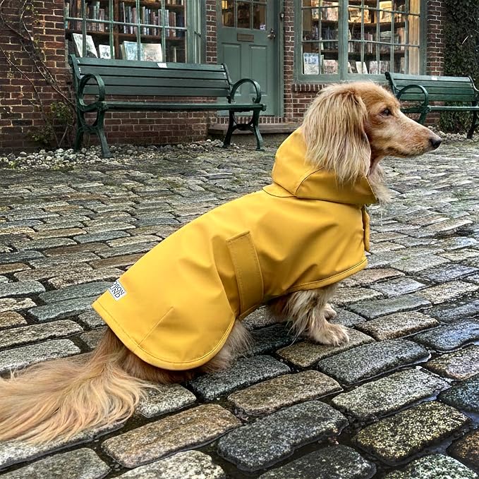 Dachshund Raincoat - Waterproof & Windproof Dog Jacket for Long Weiner Dogs, Adjustable Fit, Harness Hole - Yellow, Small