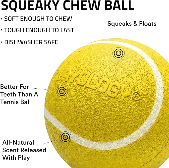 Playology Dog Toys | Squeaky Chew Ball for Dogs, Value 2-Pack | Chicken Scented Medium Dog Balls | Bouncy Floating Chew Toys for Fetch