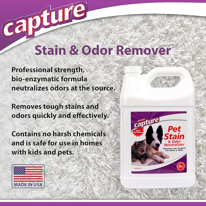 Capture Pet Stain & Odor Remover - Enzyme Pet Odor Eliminator - 1 Gallon | Carpet Stain Remover for Cats & Dog Pee Smell, Cat Urine Destroyer, Carpet Cleaner Spray
