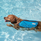 Outward Hound Dawson Swim Blue Dog Life Jacket, Small