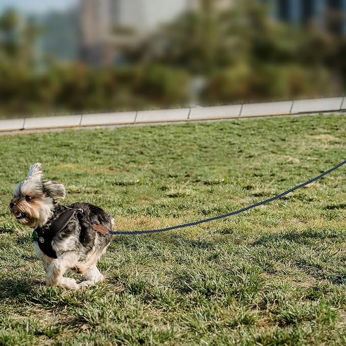 Mile High Life Dog Leash Braided Cotton Rope with Leather-Reinforced Ends | Rust-proof 360° swivel clasp, Heavy-duty for small/medium breeds. Great for weddings, daily walks (6 FT, 1/3", Navy)