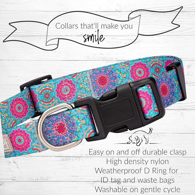Lucky Love Dog, Boho Chic Matching Dog Collar and Leash Set, Vivid Pink and Turquoise Collar and Leash for Dogs, Soft, Adjustable, Safe for Training and Walking - (Medium, Clara Combo)