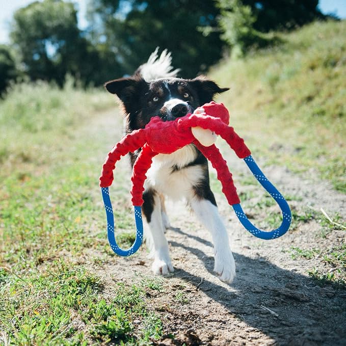 ZippyPaws RopeTugz - Durable Dog Pull Rope Toy, Interactive Tug of War for Large, Medium, & Small Dogs, Squeaky Pet Products to Keep Them Busy, Made with Heavy Duty Climbing Rope - Red Monkey