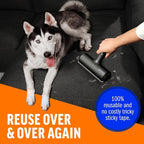 ChomChom Roller Pet Hair Remover – Original Size Reusable Lint Roller for Cat & Dog Hair on Furniture, Couch, Carpet, Car, Rugs & Bedding – Portable, Eco-Friendly (Black)