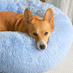 Western Home Calming Donut Medium Dog Bed Washable Pet Bed,30" Light Blue | Fluffy Faux Fur Round Cuddler,Anti-Anxiety,Anti-Slip Bottom,Plush Pet Dog Beds for Medium Sized Dogs,Up to 45 LBS
