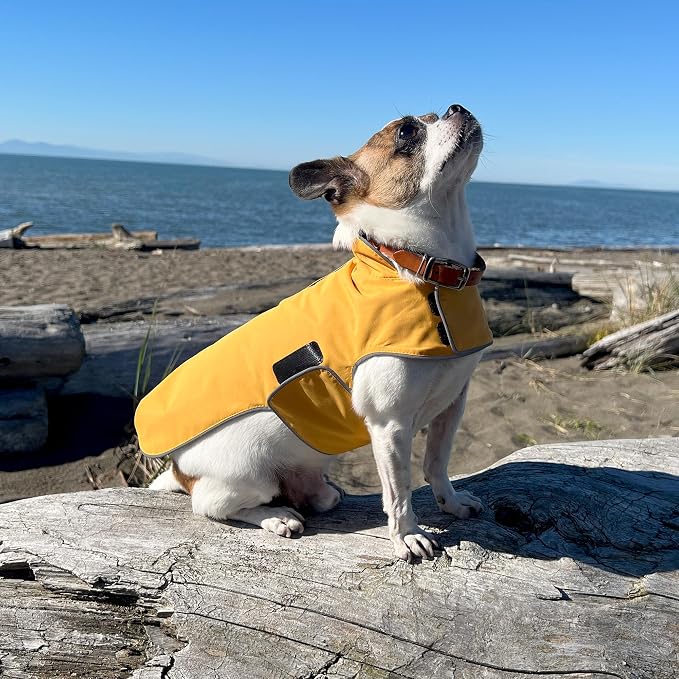 JAN & JUL Dog Rain Jacket (Yellow, Size: M)