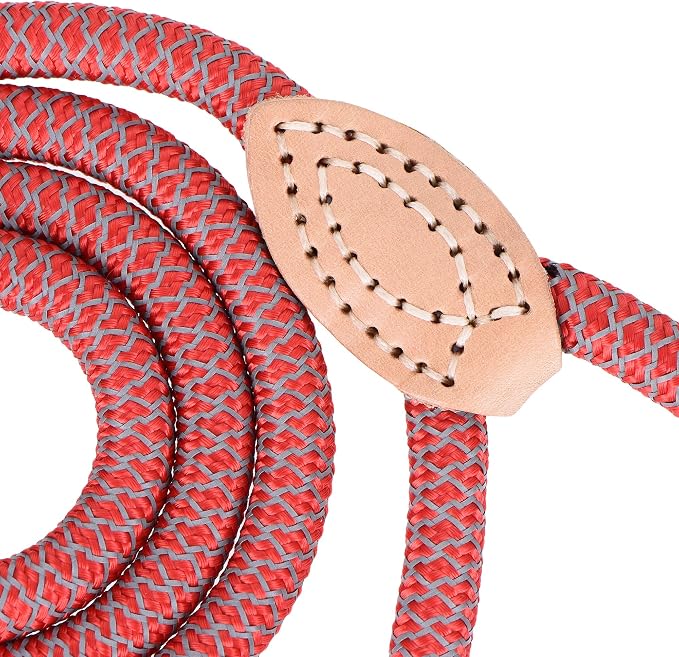 Mile High Life Dog Leash with Genuine Leather Connection, Reflective | Rope Leash, Heavy Duty 360° Swivel Metal Clasp, for Small Medium & Large Dogs Walking (Red, 60 Inch-1/2)