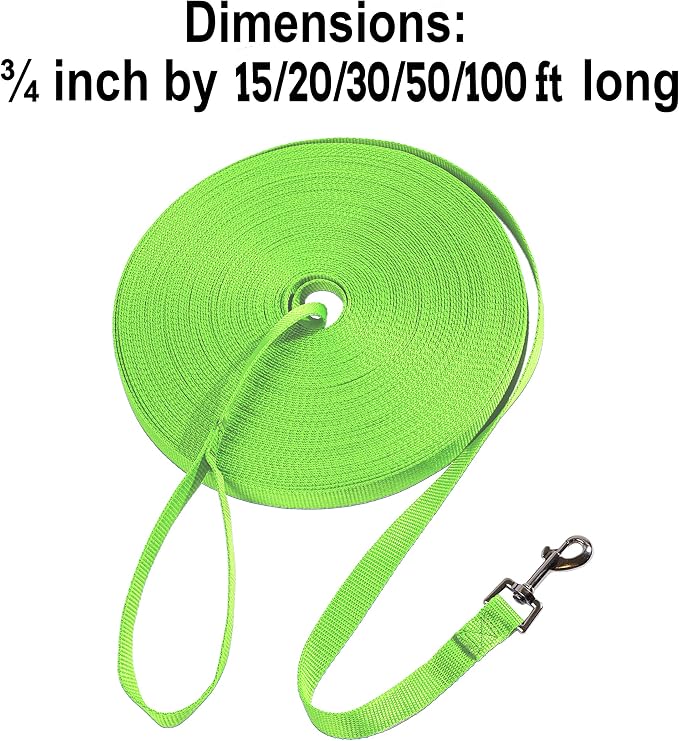 Hi Kiss Dog/Puppy Obedience Recall Training Agility Lead - 15ft 20ft 30ft 50ft 100ft Training Leash - Great for Training, Play, Camping, or Backyard (15 Feet, Green)