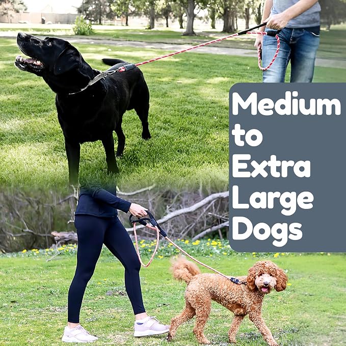 6 Foot Dog Leash, Two Extra Padded Handles, Locking Carabiner Clip, Reflective for Night Visibility, Weatherproof, Heavy Duty Rope Leash, Roam Gear (Pink)