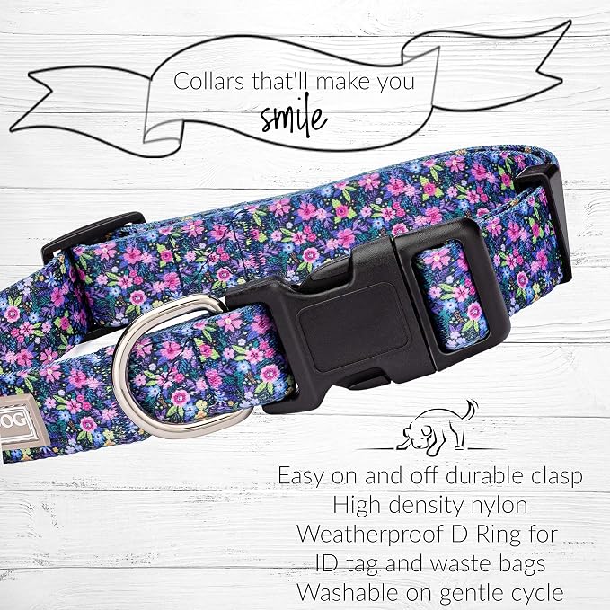 Lucky Love Dog, Matching Dog Collar & Leash Set for Female Dogs, Soft, Adjustable, Safe for Training and Walking, Black & Purple Floral Print, Primrose Combo, Small