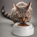 CatGuru Cat Bowls, Original Whisker-Friendly Pet Bowl for Wet & Dry Food | Wide, shallow food dish lets cats reach every bite comfortably reducing food waste. Nonslip. Dishwasher safe/ Marshmallow