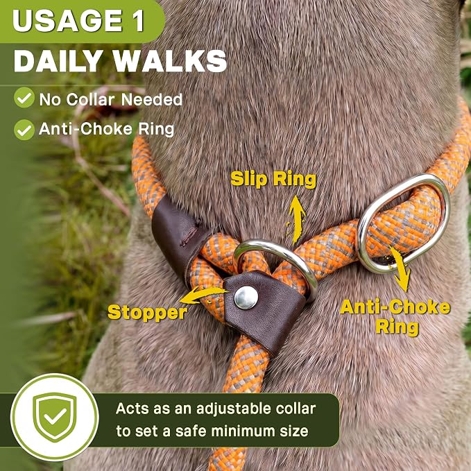 Fida Durable Slip Lead Dog Leash Bulk Pack of 5, Heavy Duty 1/2" x 6 FT Comfortable Strong Rope Slip Lead for Large, Medium Dogs No Pulling Pet Training Leash with Highly Reflective (Orange)