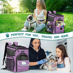 PetAmi Dog Backpack Carrier, Airline Approved 4-Way Entry Cat Backpack Carrier, Ventilated Mesh, Collapsible Pet Carrier for Small Puppy, Kitten, Hiking, Travel Car, Vet, up to 18 lbs, Purple