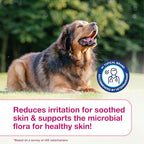 Douxo S3 Calm Itch Soothing Mousse for Dogs & Cats | Helps Support Itchy, Irritated or Allergic Skin, Soothing Dog Skin Allergies - Itch Relief for Dogs, 5 fl oz