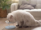 Ceramic Fish-Bone Slow Food Bowl for Cats and Dogs, Dishwasher Safe, Non-Toxic, Engaging Design, Prevents Obesity | Ceramic Bowl Elevated Anti Vomit Whisker-Friendly Wet & Dry Food