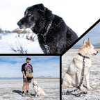 Wolfgang Heavy Duty Dog Leash, Pull-Tested for Walking & Training, NewMoon Print, Small