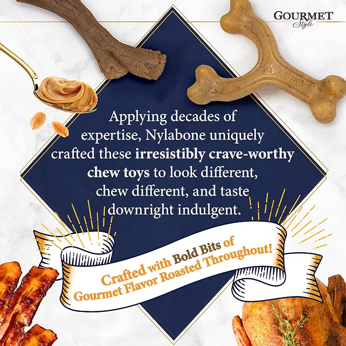 Nylabone Strong Chew Gourmet Style Wishbone Dog Chew Toy, Chicken Flavor | Small breeds, durable chew toys, long lasting, easy-hold shape, helps clean teeth, for dogs up to 25 lbs