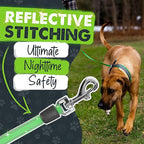 Mighty Paw Retractable Dog Leash with Poop Bag Holder, 16 Ft | Quick-Lock Braking, Tangle-Free Swivel Clip, Reflective Nylon Tape, Stainless Steel Coil, Fits Small to Large Pets