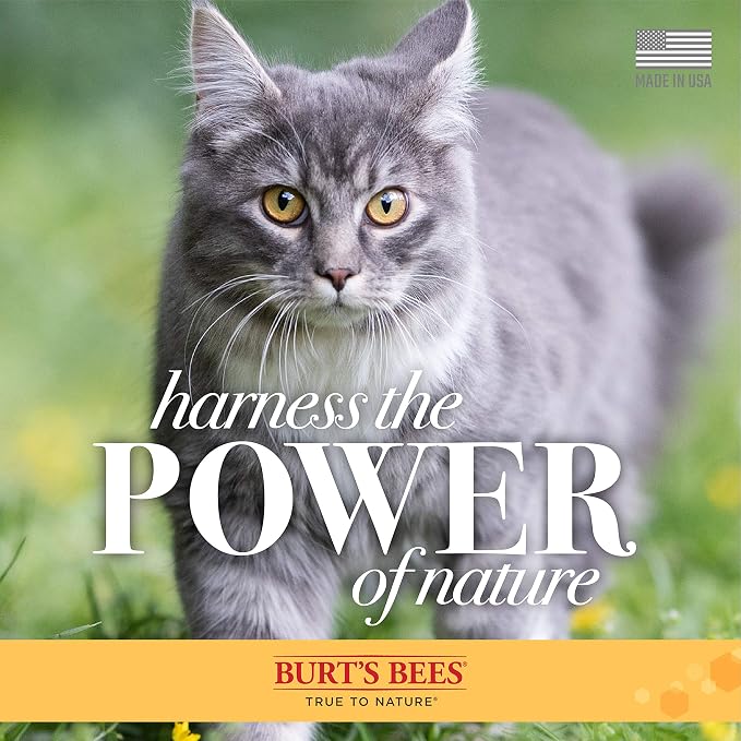 Burt's Bees for Pets For Cats Natural Dander Reducing Wipes | Kitten and Cat Wipes For Grooming, | 50 Count Cat Wipes for Dander Control - 6 Pack (300 Wipes Total)
