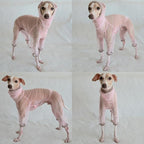 D Doggy Star Italian Greyhound Clothes Sheer Mesh Onesie Summer Jumpsuit Breathable Full Body Protection for Outdoor Walks Small Whippet Fit (L,Sheer Mesh Pink)