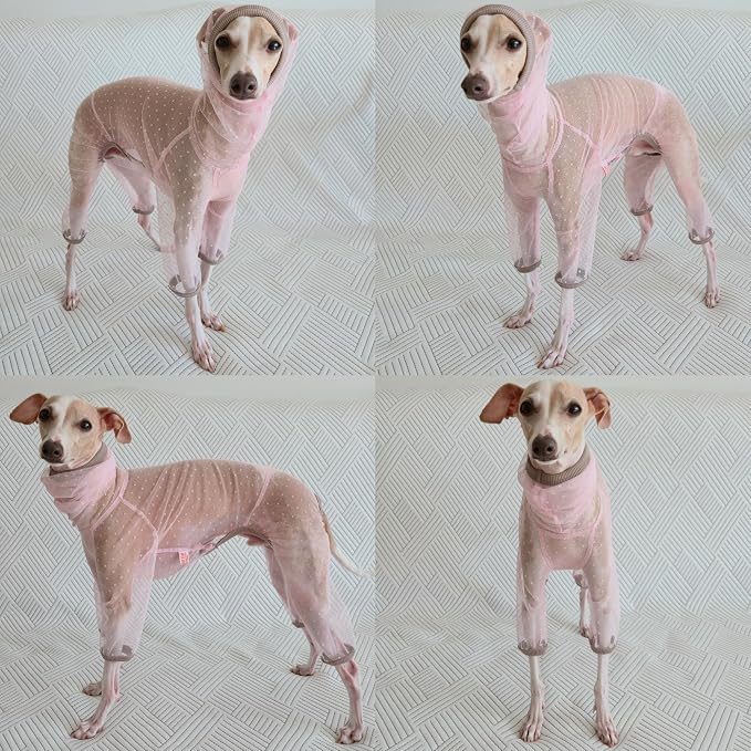 D Doggy Star Italian Greyhound Clothes Sheer Mesh Onesie Summer Jumpsuit Breathable Full Body Protection for Outdoor Walks Small Whippet Fit (S,Sheer Mesh Pink)