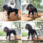 LOVELONGLONG Fleece-Lined Dog Raincoat with Removable Hood – Waterproof Winter Full Body Dog Jacket – Windproof Snowproof Cold-Weather Suit – Black-F XXS